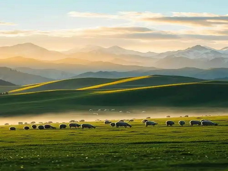 巴音布鲁克草原