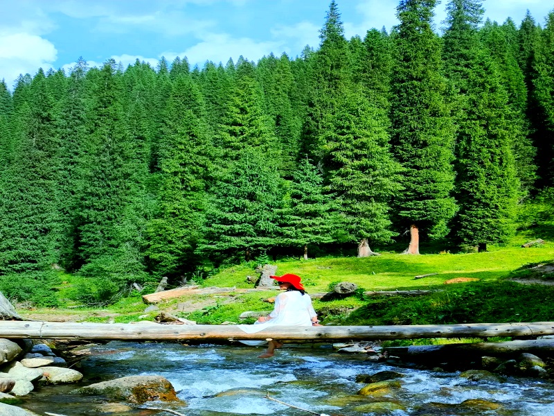 恰西森林公园景区