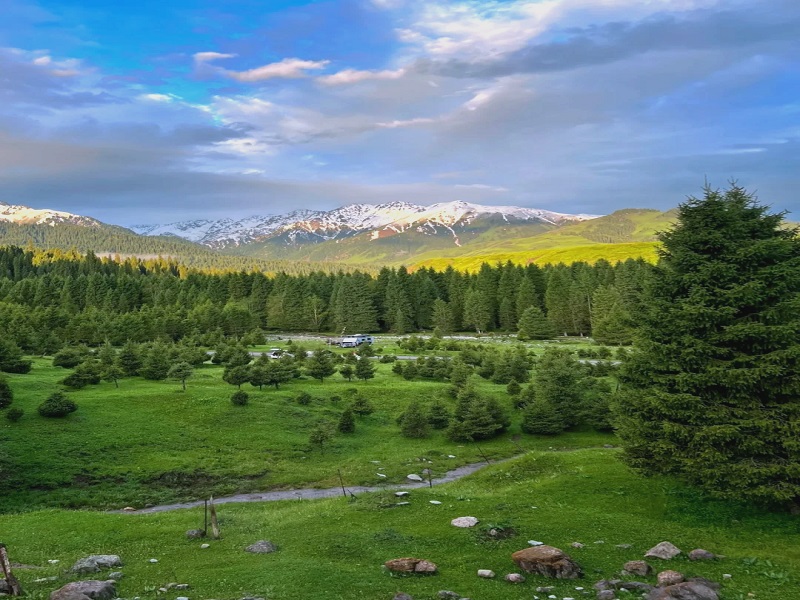 恰西森林公园景区